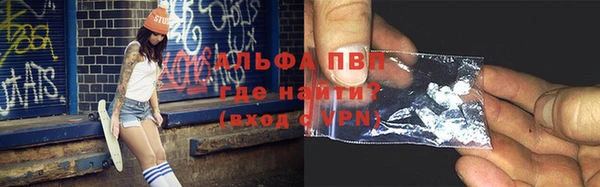 apvp Белокуриха