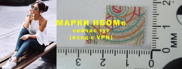 шишки Богородск